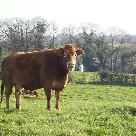 La Peraie - Le Roseau